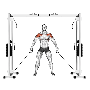 Cable Front Shoulder Raise demonstration
