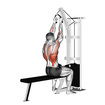 Cable Lateral Pulldown (With Rope Attachment) demonstration