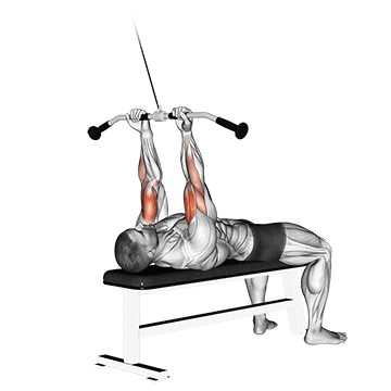 Cable Lying Close-Grip Curl demonstration