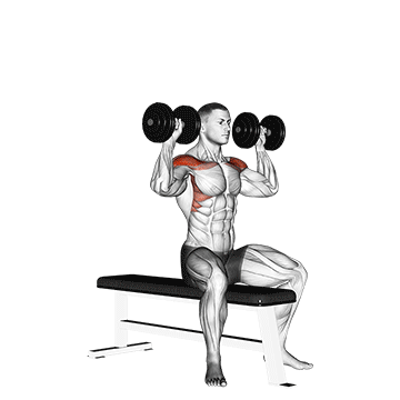 Dumbbell Bench Seated Press demonstration