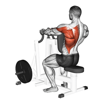 Lever Alternating Narrow Grip Seated Row demonstration