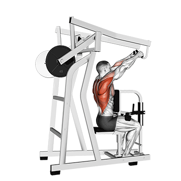 Lever High Row demonstration