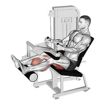 Lever Seated Leg Curl demonstration