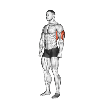 Overhead Triceps Stretch demonstration