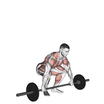 Snatch Pull demonstration