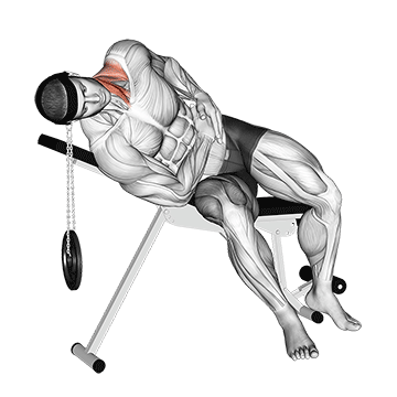 Weighted Lying Side Lifting Head (With Head Harness) demonstration