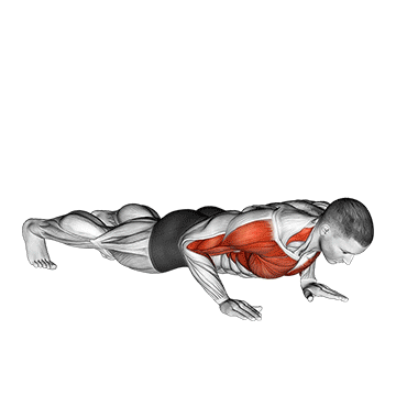 Clap Push Up demonstration