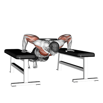 Weighted Drop Push Up demonstration