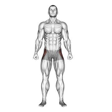 Straight Leg Outer Hip Abductor demonstration