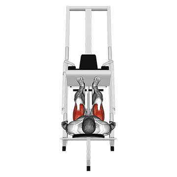 Sled 45° Leg Press (Back Pov) demonstration