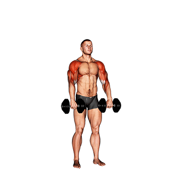 Dumbbell Cuban Press V. 2 demonstration