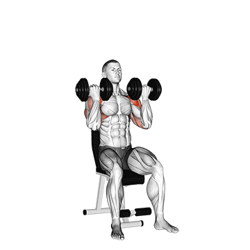 Dumbbell Arnold Press demonstration