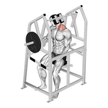 Lever Neck Left Side Flexion (Plate Loaded) demonstration