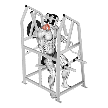 Lever Neck Right Side Flexion (Plate Loaded) demonstration