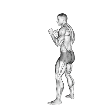 Spin Hook Kick demonstration
