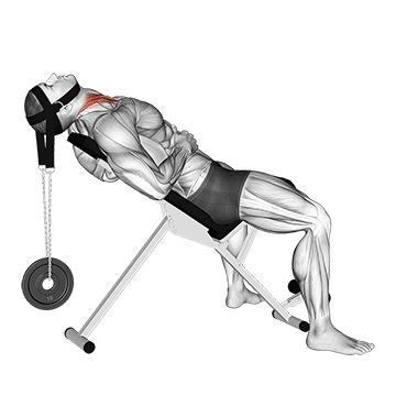 Weighted Lying Neck Flexion (With Head Harness) demonstration