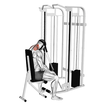 Cable Seated Neck Extension (With Head Harness) demonstration