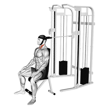 Cable Seated Neck Flexion (With Head Harness) demonstration