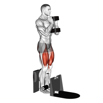 Dumbbell Supported Squat demonstration