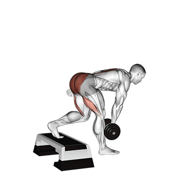 Dumbbell Single Leg Deadlift With Stepbox Support demonstration