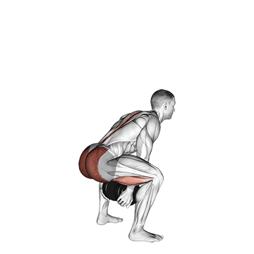 Dumbbell Sumo Pull Through demonstration