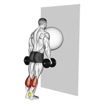 Exercise Ball On The Wall Calf Raise (Tennis Ball Between Ankles) demonstration