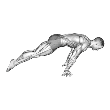 Lean Planche demonstration