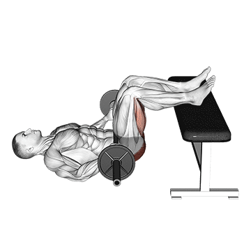 Barbell Glute Bridge Two Legs On Bench (Male) demonstration