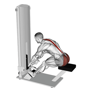 Lever Seated Good Morning demonstration